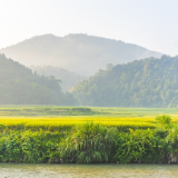 生态文学丨周国丽：除害