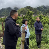 省植保植检站调研永州农作物病虫害绿色防控工作