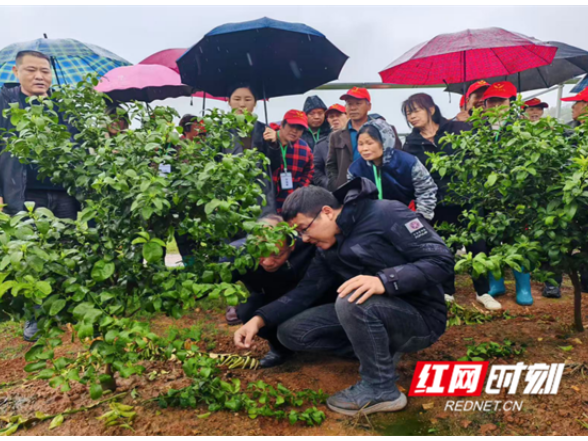 永州市扎实开展2026年冬春农民大培训 为乡村振兴“蓄能添力”