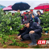 永州市扎实开展2026年冬春农民大培训 为乡村振兴“蓄能添力”