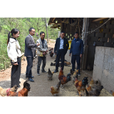 怀化电信助力桐坪新村特色产业发展