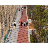 从“堵乱旧”到“畅洁美”——辰溪重点工程提质蝶变 绘就城市发展新画卷