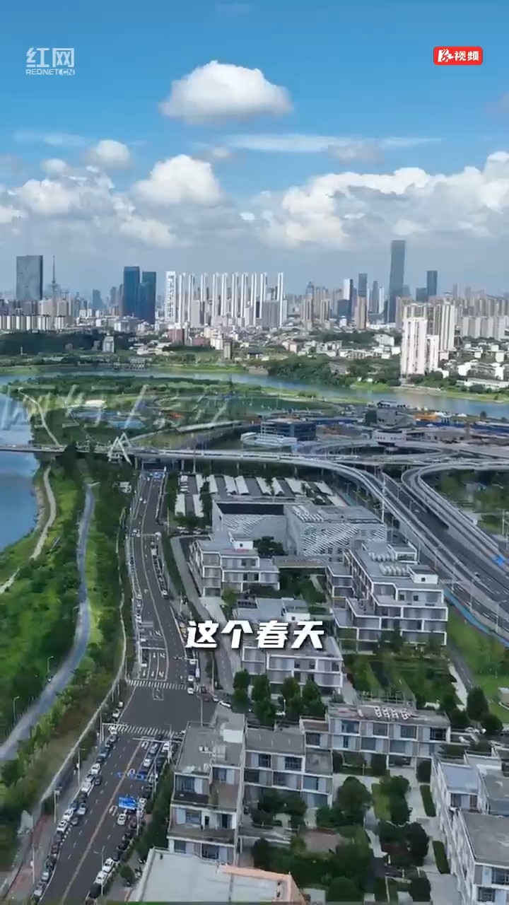 行走开福，看见产业向上突围的力量