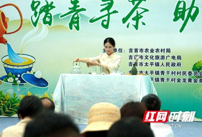 吉首市太平镇：茶香引客来  春茶展销铺就乡村振兴路