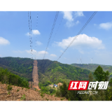 全国首个！一条防火林带，如何“一举三得”？