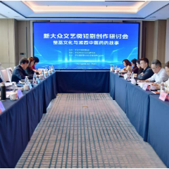 怀化举办新大众文艺微短剧研讨会    探索“楚巫文化+中医药”新表达