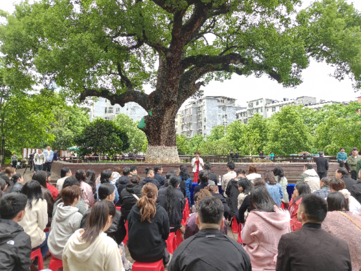 北湖区燕泉街道：古樟树下品书香  以“读”促行赋能基层治理