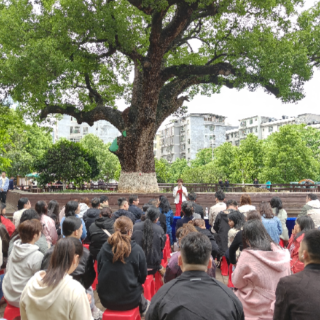 北湖区燕泉街道：古樟树下品书香  以“读”促行赋能基层治理