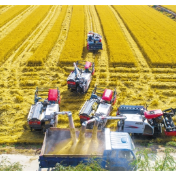 高基点筑牢国家粮食安全防线——“十五五”时期经济社会发展主要指标解读