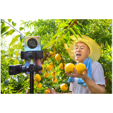 好评中国丨3.1%增长背后：乡村消费这把火正燃