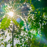 随笔丨张珑辉：从容方得心安