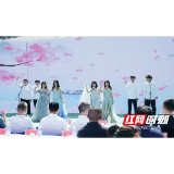 茶香引客来 杜鹃伴春行——桃江县灰山港镇甘泉山第二届茶旅融合艺术季火热开幕