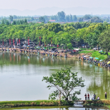 174名钓手竞技6000年古城护城河 “城头山杯”湖南省钓鱼大赛落幕