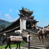 “五一”来湘聚丨徒步茶山、露营、逛市集 去安化“泡”春天