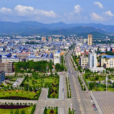 祁阳市龙山街道芦家甸社区：祁心治网，城管护安，清枯树惠民生