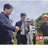 苗至、技至、心至 民盟“科技春风”吹遍青竹村田垄