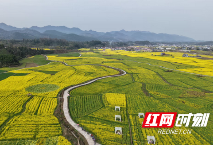“小而美”绽放新活力——永顺县万坪镇农文旅融合的“微场景”实践