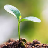 永州市召开农业经济“双过半”暨农业综合执法、动物疫病防控工作调度会