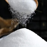 雪天盐业：经营质效双升 新质生产力赋能增长