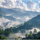 生态文学丨唐盛明：那片未曾消失的油茶山