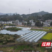 株洲市规划测绘设计院下属子公司成功中标首个市外代建项目