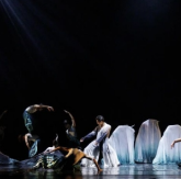 绽放青春舞姿！湖南信息学院5项原创舞蹈亮相第十四届“桃李杯”