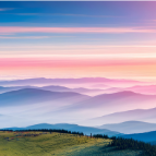 诗词丨易庆安：诗书画里寻虾趣 笔砚台前证夙缘