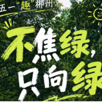 五一“趣”郴州·海报｜不焦绿，只向绿