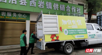 流动供销，为何成为湖南春耕“新宠”？