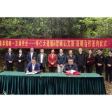 湖南溆浦：打造中医药康养度假目的地