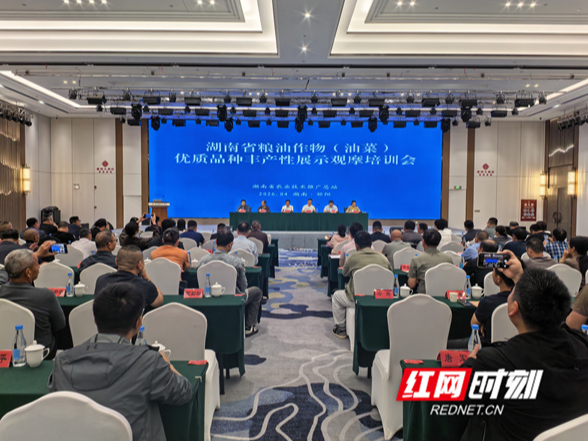 祁阳市举办湖南省油菜观摩培训会