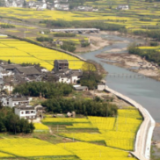 一共200个！2026年度湖南省级和美乡村建设重点村名单公布