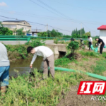 迎“五一” 净家园 促长效 大通湖区千山红镇开展农村人居环境整治大扫除行动