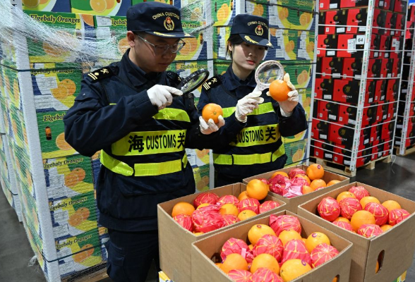 财经聚焦｜零关税助力非洲好物拥抱中国大市场