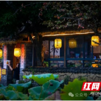 “文学+旅游”让湘西更有“读”头