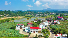 聚焦“八件事” 湖南省自然资源厅推进“助企帮村”