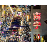 好评中国丨数描假日图景，感知中国活力