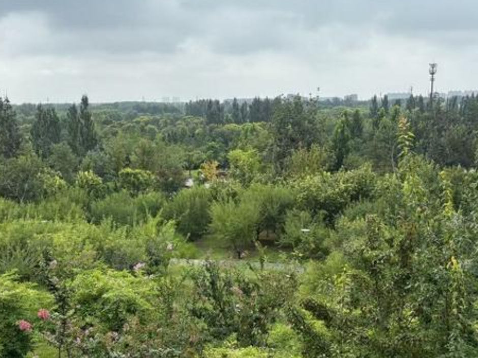 广东惠州优化公积金贷款住房套数认定标准：只看购房地县（区）内住宅