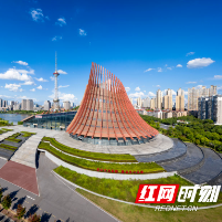 株洲市委网信委员会全体会议召开