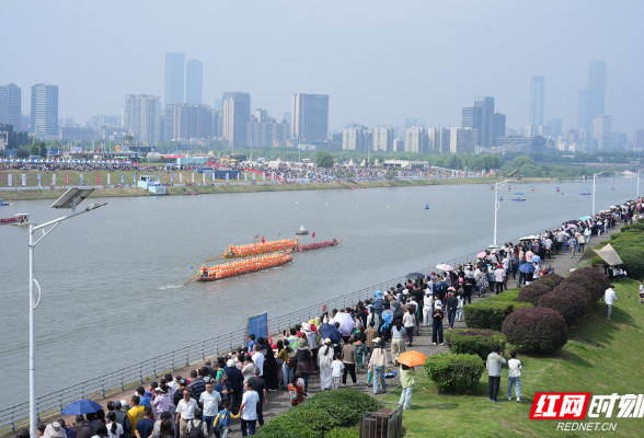 组图丨浏阳河上，百舸争流