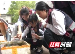 实战演练筑防线 郴州市洪涝灾害暨蚊媒传染病卫生应急演练举办