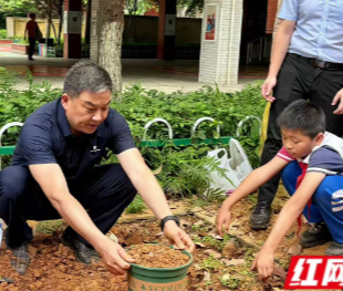 长沙周南秀峰学校“一亩田 大梦想”校农合作项目启动 劳动教育赋能学生成长