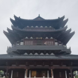 温州江心屿：看见好生态与好风景丨感知幸福中国浙江行