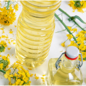 粮农组织食品价格指数连续第三个月上扬——植物油价格涨幅较为突出