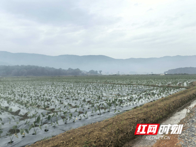 永州市农业农村局：摸清家底学经验 赋能乡村振兴“领头雁”