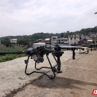 桂阳县：科技赋能烟田“空中作战” 无人机兵团护航烟叶丰产