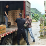 以“橙”为媒 江永夏橙借“苏超”流量叩开助农新径