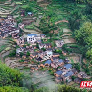 组图 | 初夏湘南：云雾丹青 乡野叠翠  