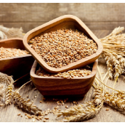 国家粮食和物资储备局:小麦竞价交易呈现多年未见的活跃局面