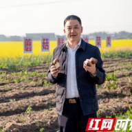 逐光者|邓述东:一亩田里“种”出的大梦想